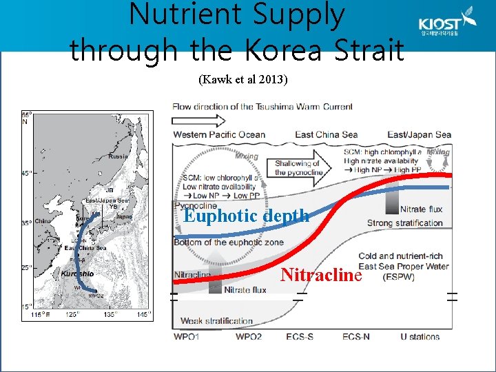 Nutrient Supply through the Korea Strait (Kawk et al 2013) Euphotic depth Nitracline 