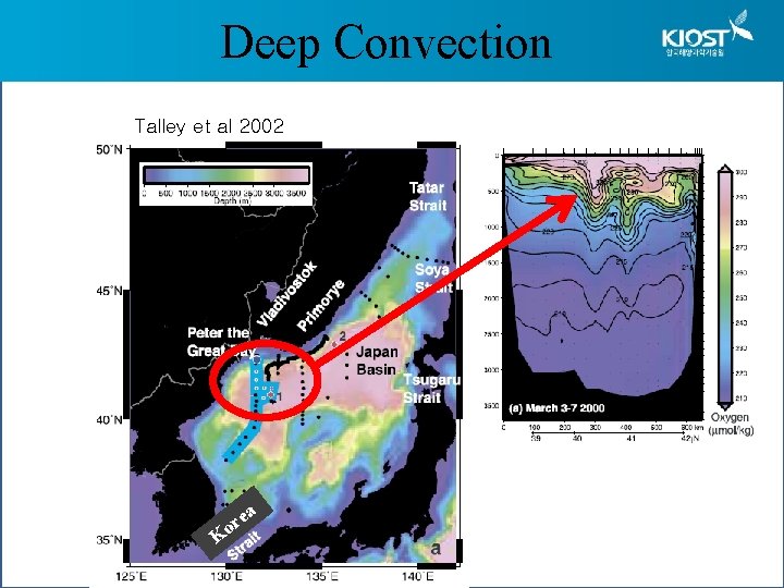 Deep Convection Talley et al 2002 ea r o K 