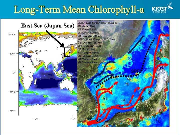 Long-Term Mean Chlorophyll-a SS LC East Sea (Japan Sea) Log (CHL) mg m-3 EKWC: