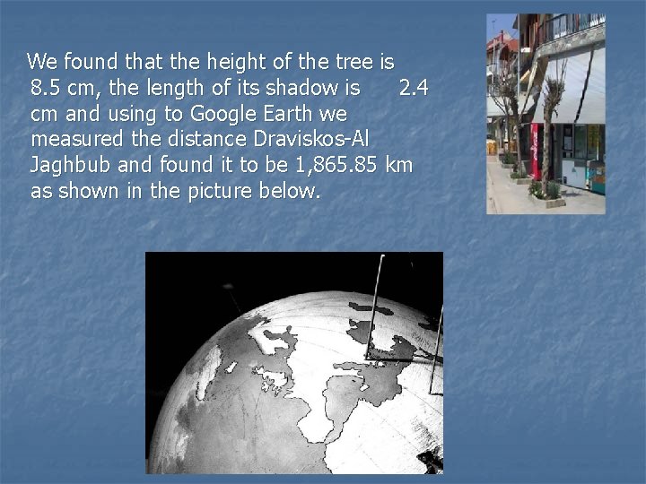 We found that the height of the tree is 8. 5 cm, the length
