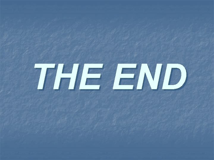 THE END 