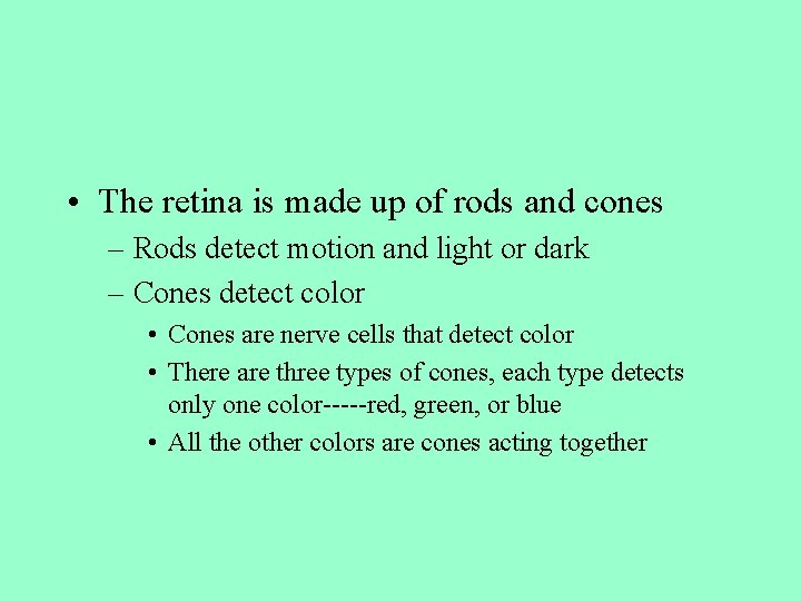  • The retina is made up of rods and cones – Rods detect