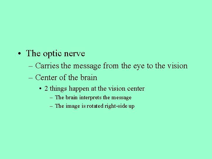  • The optic nerve – Carries the message from the eye to the