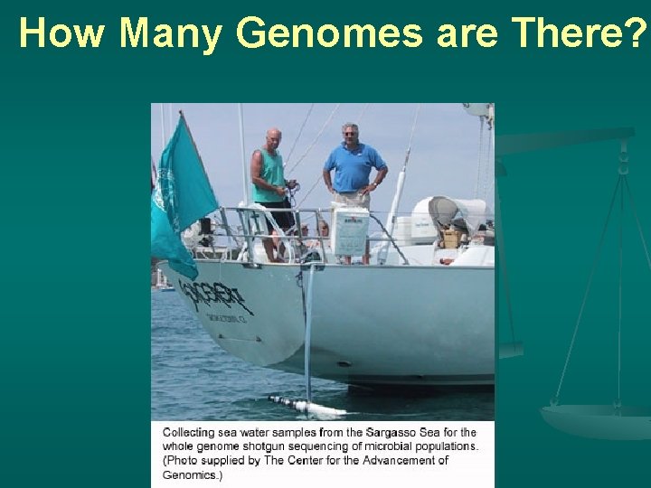 How Many Genomes are There? 