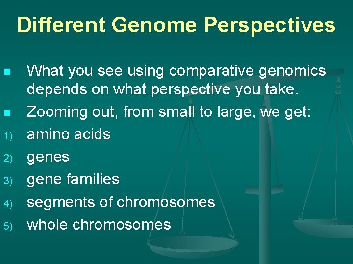 Different Genome Perspectives n n 1) 2) 3) 4) 5) What you see using