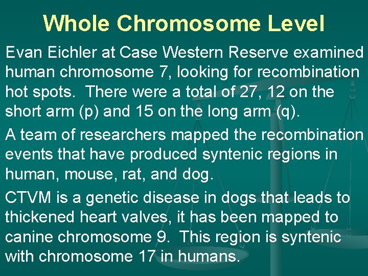 Whole Chromosome Level Evan Eichler at Case Western Reserve examined human chromosome 7, looking