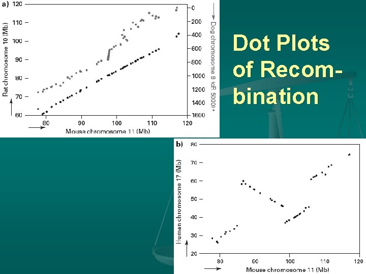 Dot Plots of Recombination 