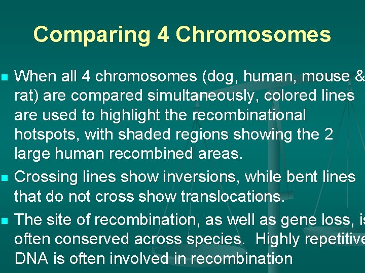 Comparing 4 Chromosomes n n n When all 4 chromosomes (dog, human, mouse &