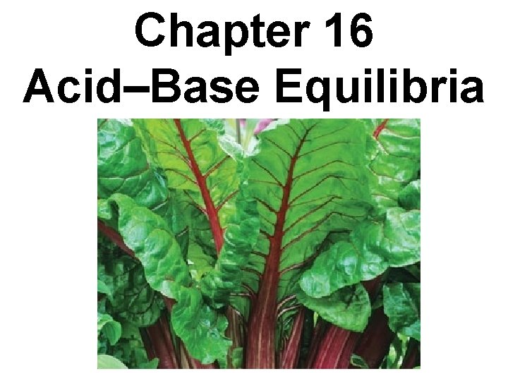Chapter 16 Acid–Base Equilibria 