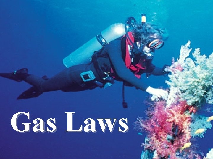 Gas Laws 