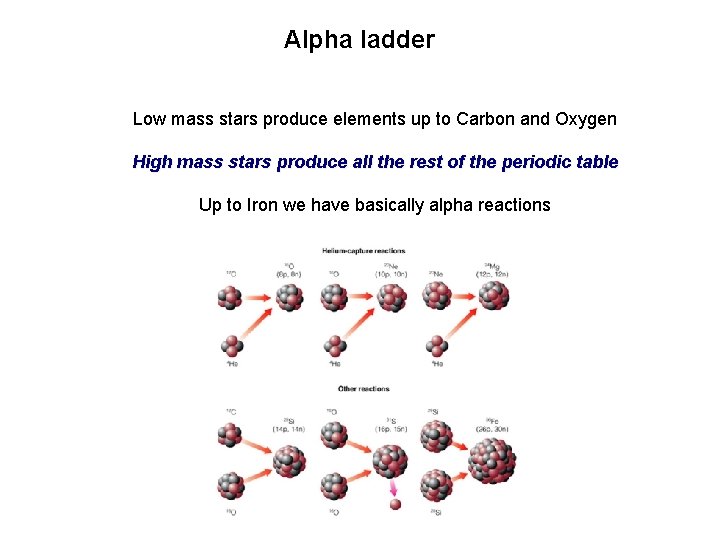 Alpha ladder Low mass stars produce elements up to Carbon and Oxygen High mass