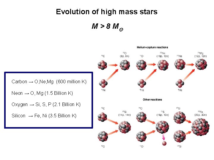 Evolution of high mass stars M > 8 M⊙ Carbon → O, Ne, Mg