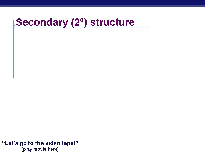 Secondary (2°) structure “Let’s go to the video tape!” AP Biology (play movie here)