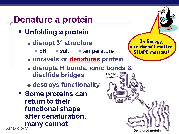 Denature a protein Unfolding a protein disrupt 3° structure p. H salt temperature In