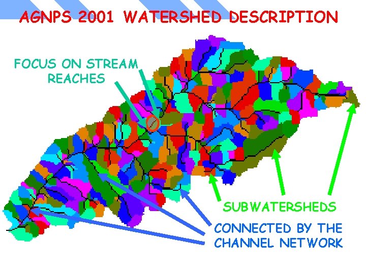 AGNPS 2001 WATERSHED DESCRIPTION FOCUS ON STREAM REACHES SUBWATERSHEDS CONNECTED BY THE CHANNEL NETWORK AGNPS 2001 WATERSHED DESCRIPTION FOCUS ON STREAM REACHES SUBWATERSHEDS CONNECTED BY THE CHANNEL NETWORK
