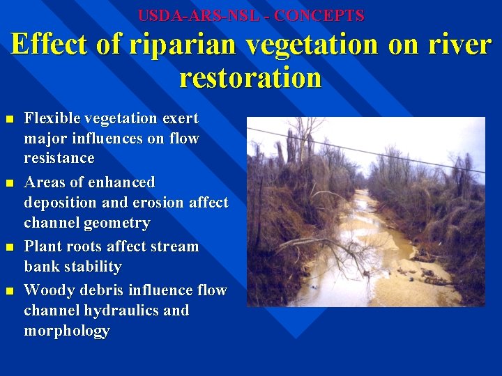 USDA-ARS-NSL - CONCEPTS Effect of riparian vegetation on river restoration n n Flexible vegetation USDA-ARS-NSL - CONCEPTS Effect of riparian vegetation on river restoration n n Flexible vegetation