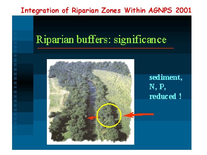 Integration of Riparian Zones Within AGNPS 2001 Integration of Riparian Zones Within AGNPS 2001