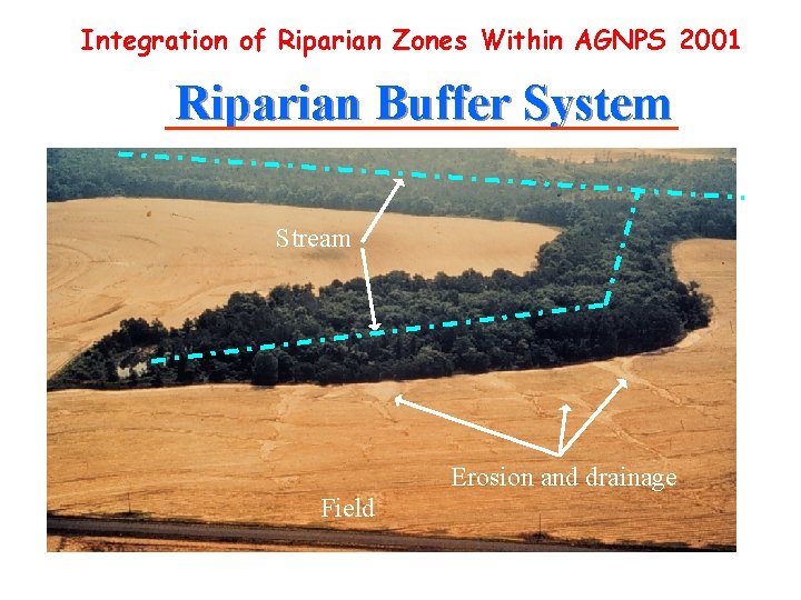 Integration of Riparian Zones Within AGNPS 2001 Riparian Buffer System Stream Erosion and drainage Integration of Riparian Zones Within AGNPS 2001 Riparian Buffer System Stream Erosion and drainage