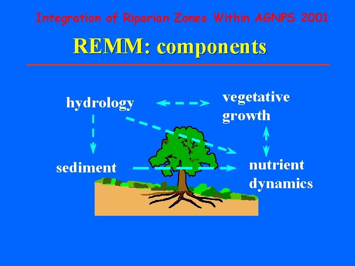 Integration of Riparian Zones Within AGNPS 2001 REMM: components hydrology sediment vegetative growth nutrient Integration of Riparian Zones Within AGNPS 2001 REMM: components hydrology sediment vegetative growth nutrient
