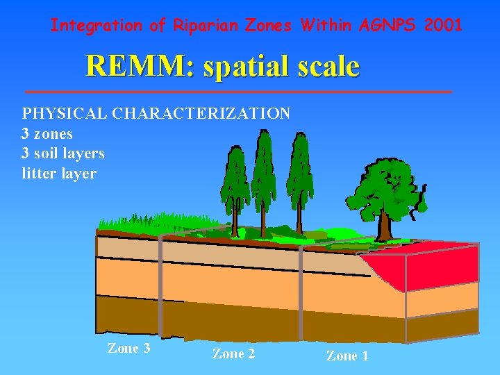 Integration of Riparian Zones Within AGNPS 2001 REMM: spatial scale PHYSICAL CHARACTERIZATION 3 zones Integration of Riparian Zones Within AGNPS 2001 REMM: spatial scale PHYSICAL CHARACTERIZATION 3 zones