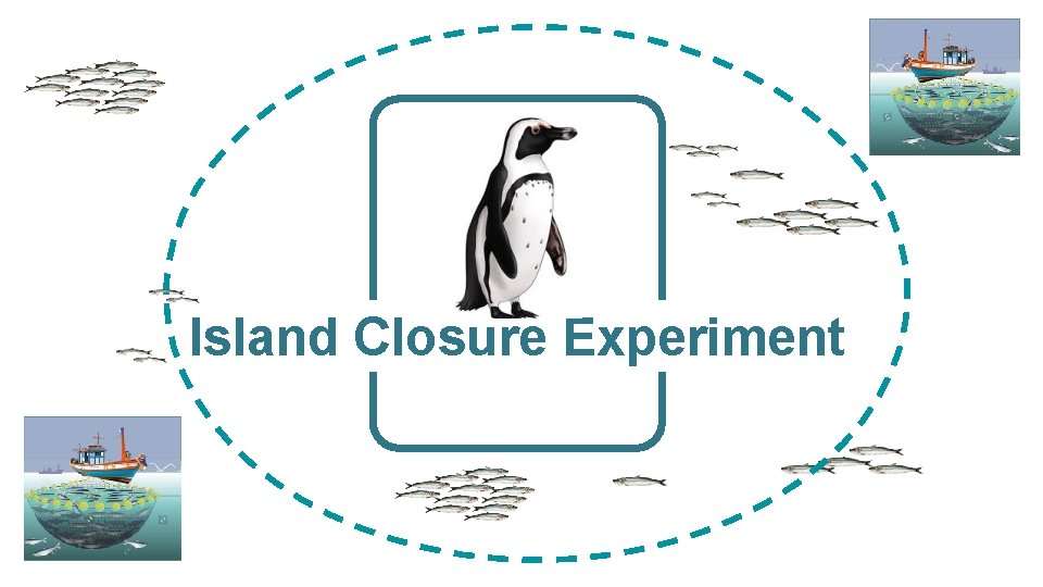 Island Closure Experiment 