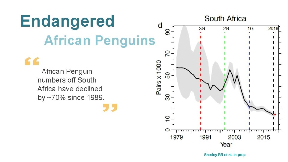 Endangered African Penguins African Penguin numbers off South Africa have declined by ~70% since