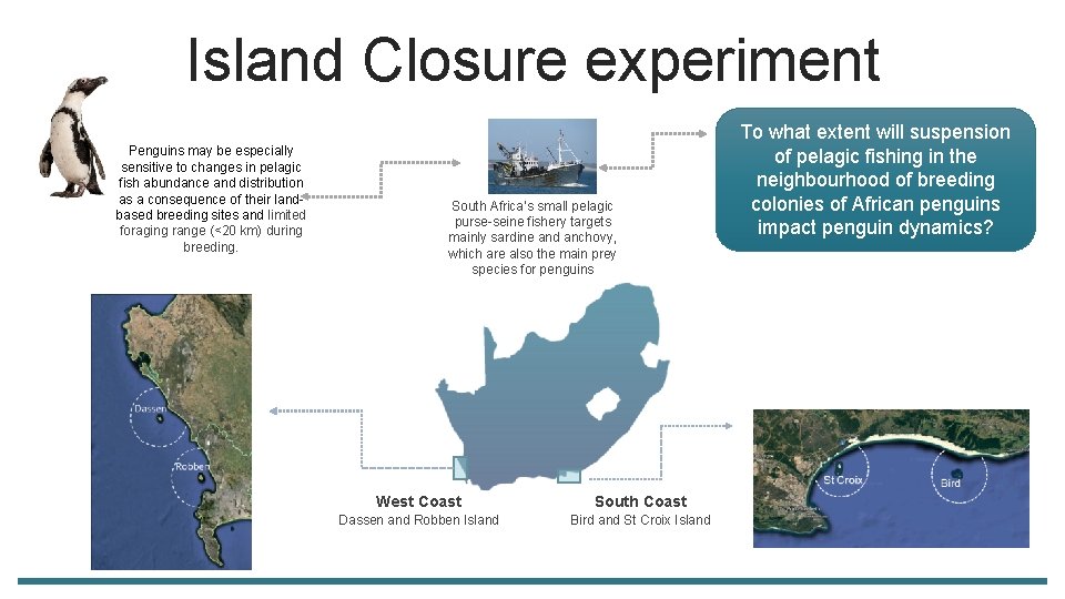 Island Closure experiment Penguins may be especially sensitive to changes in pelagic fish abundance