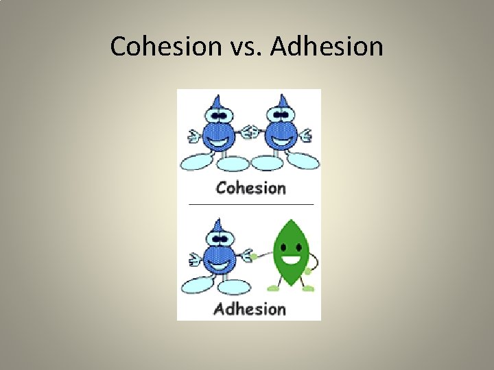 Cohesion vs. Adhesion 