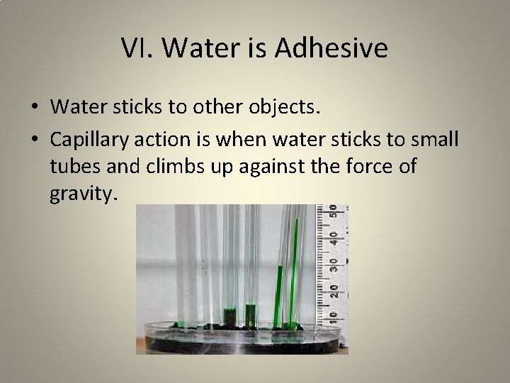 VI. Water is Adhesive • Water sticks to other objects. • Capillary action is