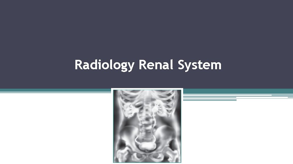 Radiology Renal System 