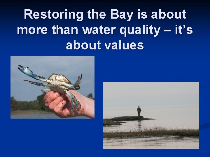 Restoring the Bay is about more than water quality – it’s about values 