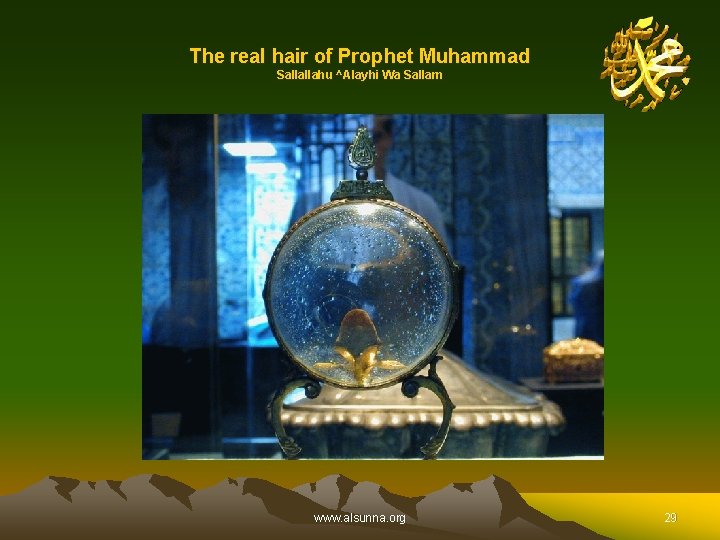 The real hair of Prophet Muhammad Sallallahu ^Alayhi Wa Sallam www. alsunna. org 29
