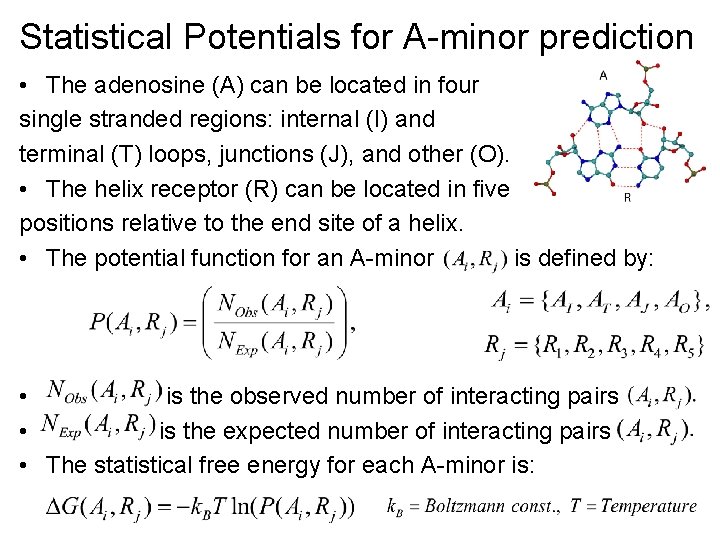 Statistical Potentials for A-minor prediction • The adenosine (A) can be located in four