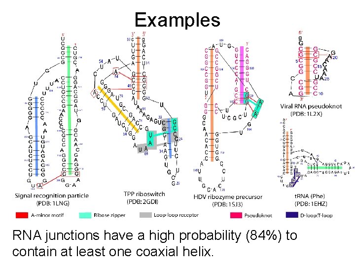 Examples RNA junctions have a high probability (84%) to contain at least one coaxial