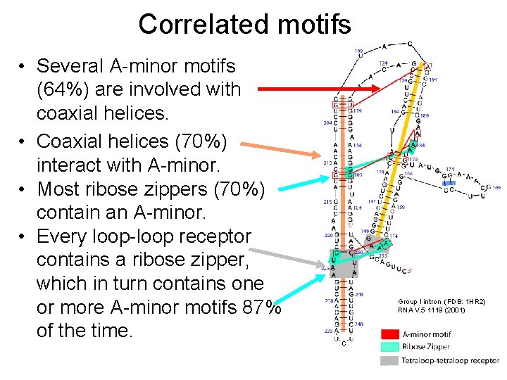 Correlated motifs • Several A-minor motifs (64%) are involved with coaxial helices. • Coaxial