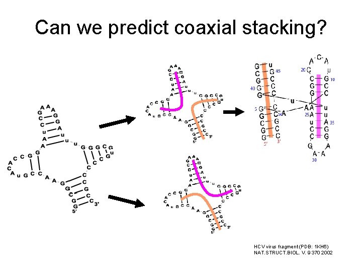 Can we predict coaxial stacking? HCV virus fragment (PDB: 1 KH 6) NAT. STRUCT.