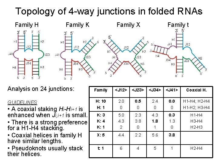 Topology of 4 -way junctions in folded RNAs Family H Family K Analysis on
