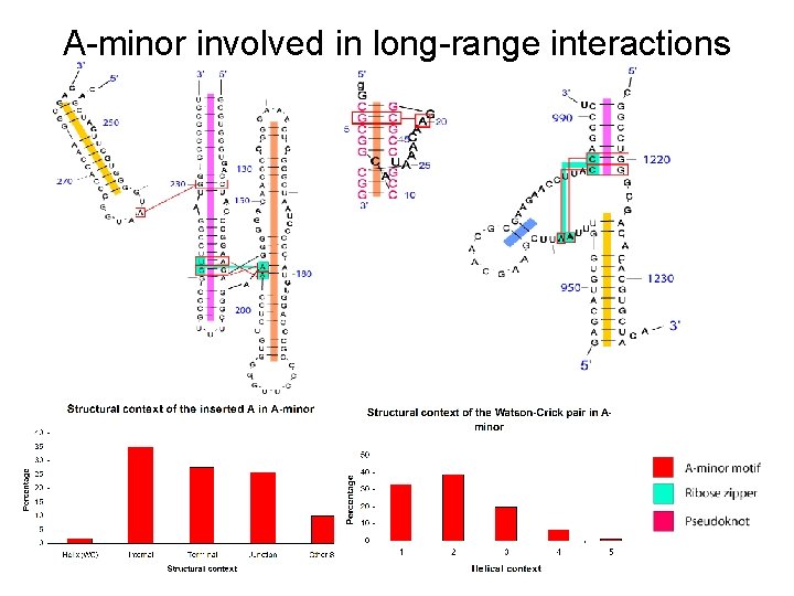 A-minor involved in long-range interactions 