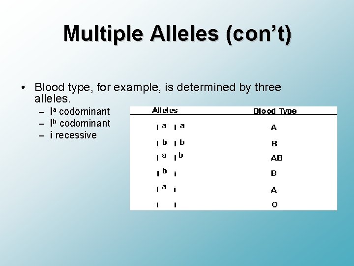 Multiple Alleles (con’t) • Blood type, for example, is determined by three alleles. –