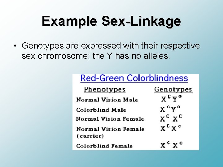 Example Sex-Linkage • Genotypes are expressed with their respective sex chromosome; the Y has