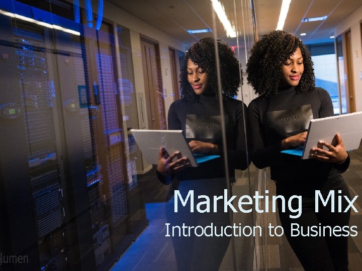 Marketing Mix Introduction to Business 