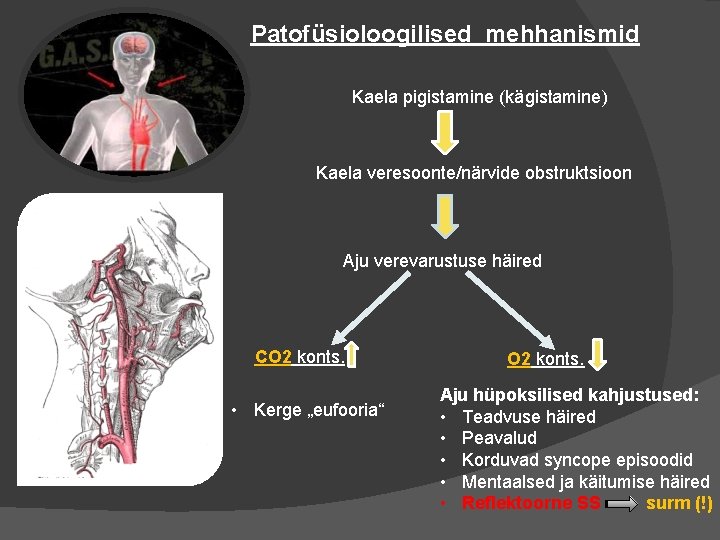 Patofüsioloogilised mehhanismid Kaela pigistamine (kägistamine) Kaela veresoonte/närvide obstruktsioon Aju verevarustuse häired CO 2 konts.