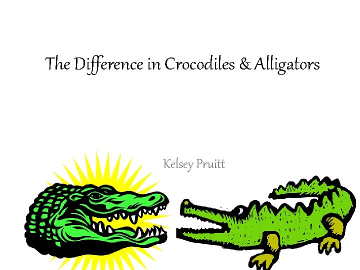 The Difference in Crocodiles & Alligators Kelsey Pruitt The Difference in Crocodiles & Alligators Kelsey Pruitt