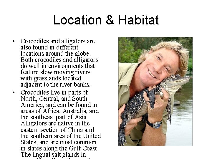 Location & Habitat • Crocodiles and alligators are also found in different locations around Location & Habitat • Crocodiles and alligators are also found in different locations around