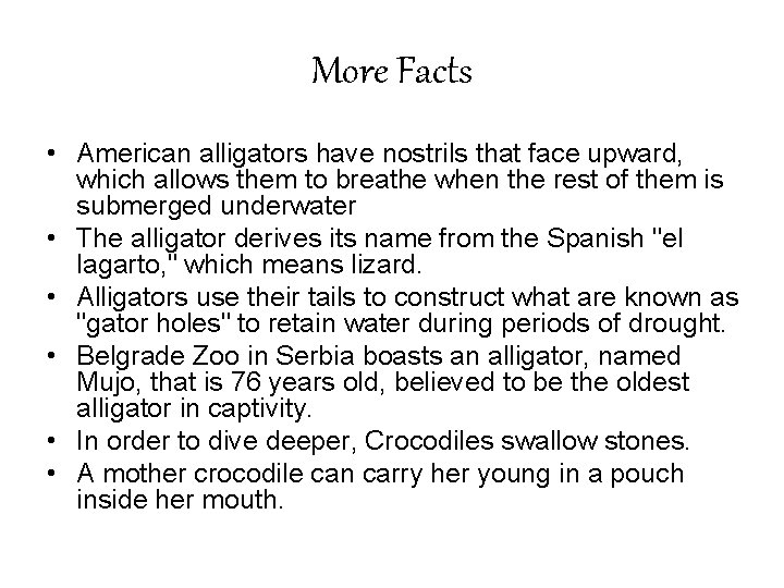 More Facts • American alligators have nostrils that face upward, which allows them to More Facts • American alligators have nostrils that face upward, which allows them to