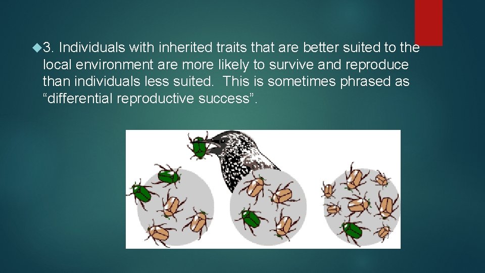  3. Individuals with inherited traits that are better suited to the local environment