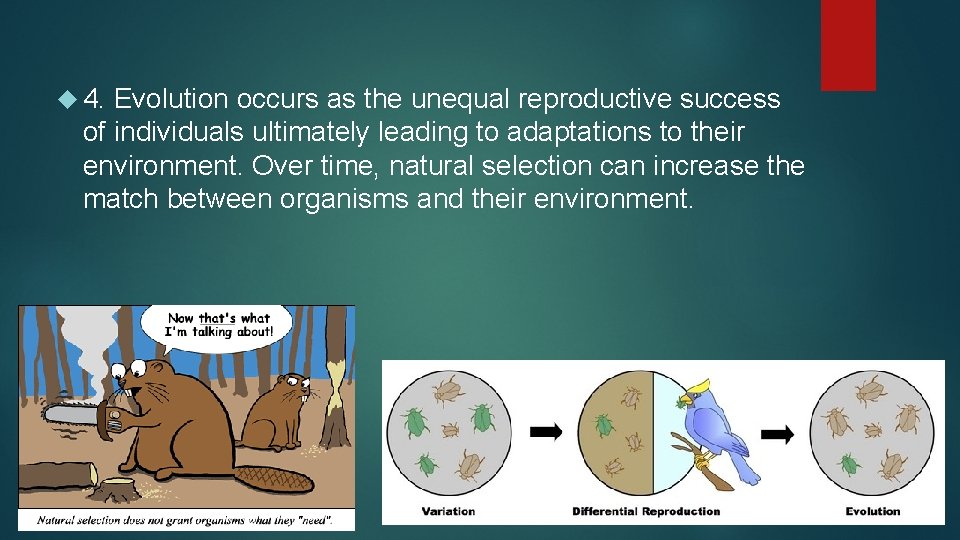  4. Evolution occurs as the unequal reproductive success of individuals ultimately leading to