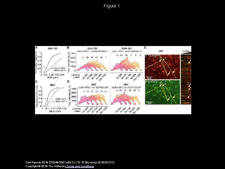 Figure 1 Cell Reports 2019 273049 -3061. e 6 DOI: (10. 1016/j. celrep. 2019.