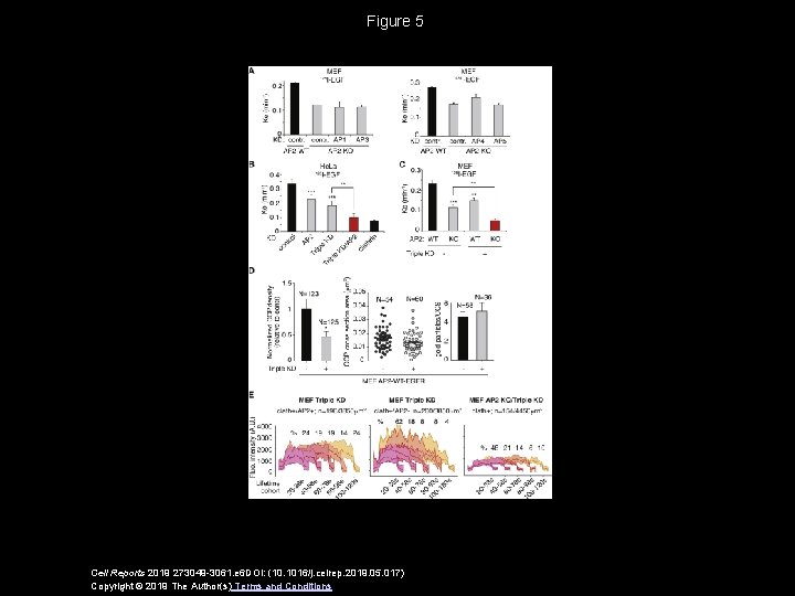 Figure 5 Cell Reports 2019 273049 -3061. e 6 DOI: (10. 1016/j. celrep. 2019.