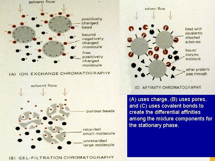 (A) uses charge, (B) uses pores, and (C) uses covalent bonds to create the